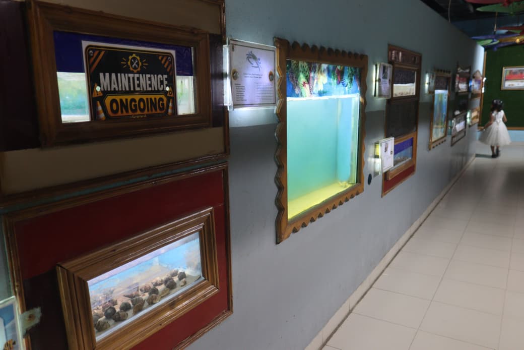 Crab and Snail Gallery