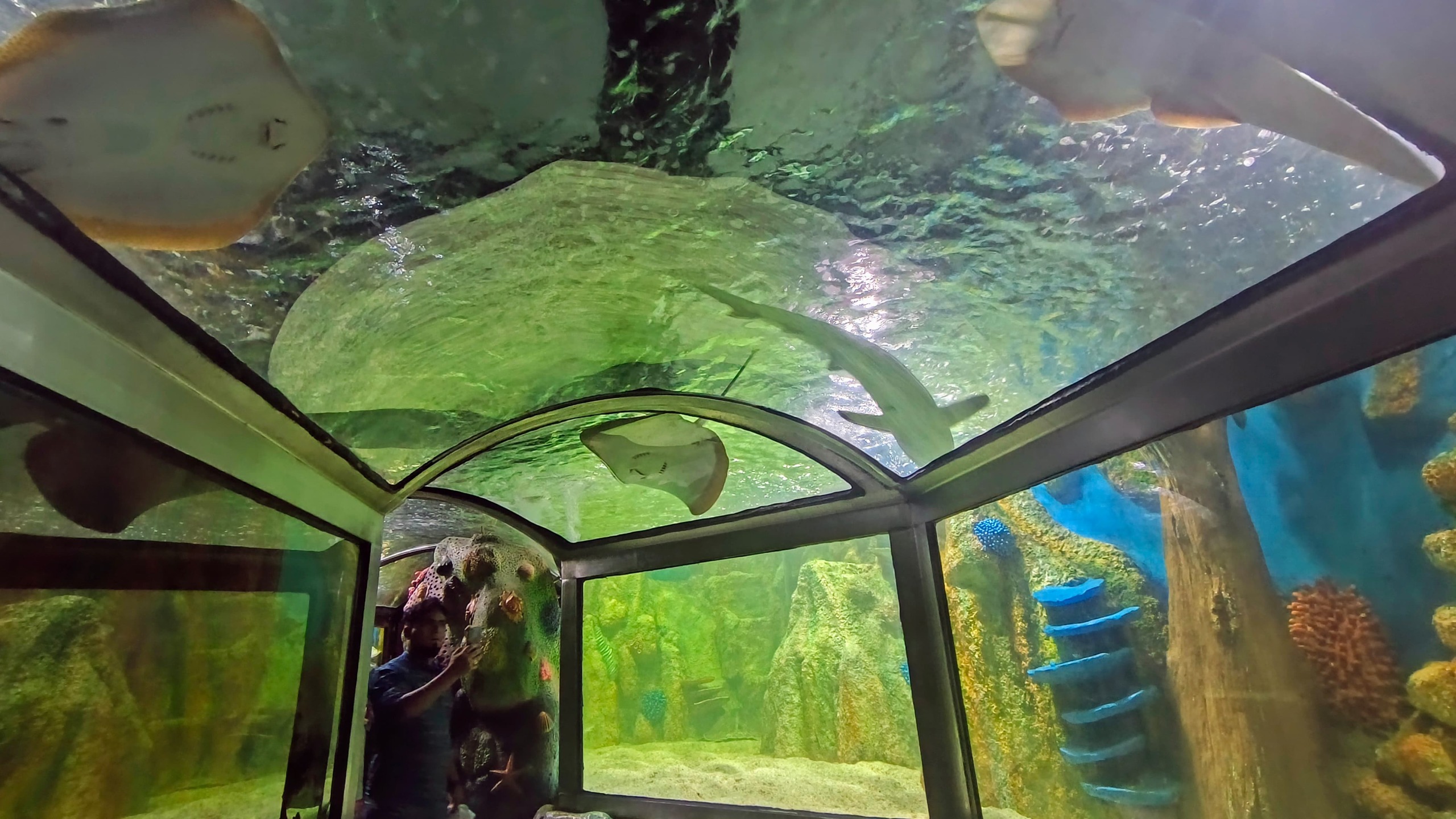 Deep Ocean Tunnel