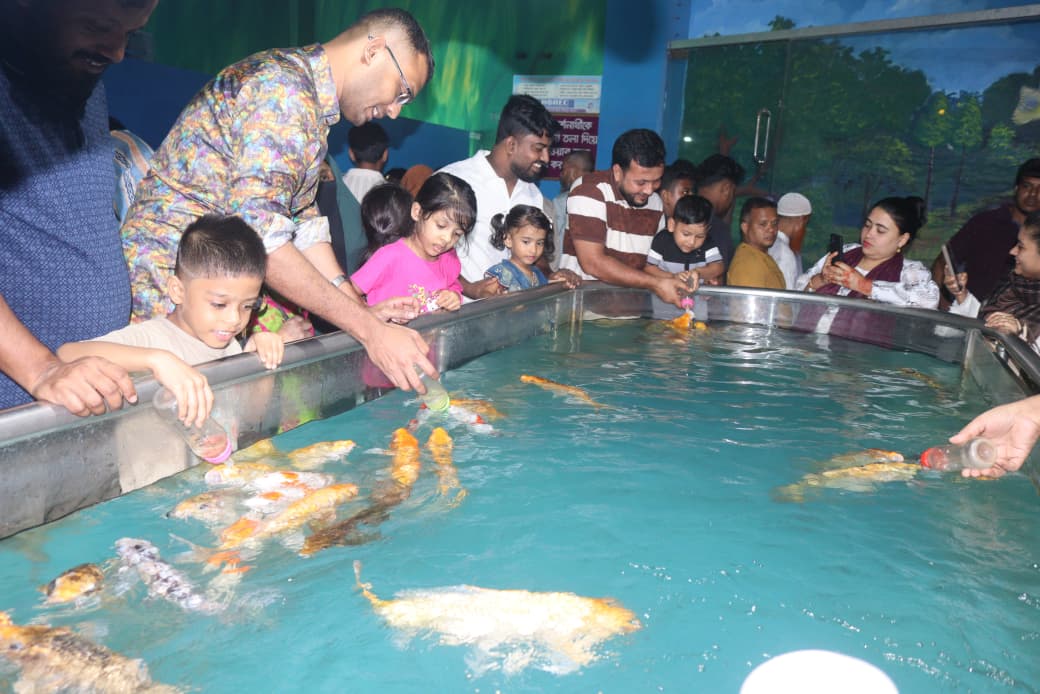 Fish Feeding